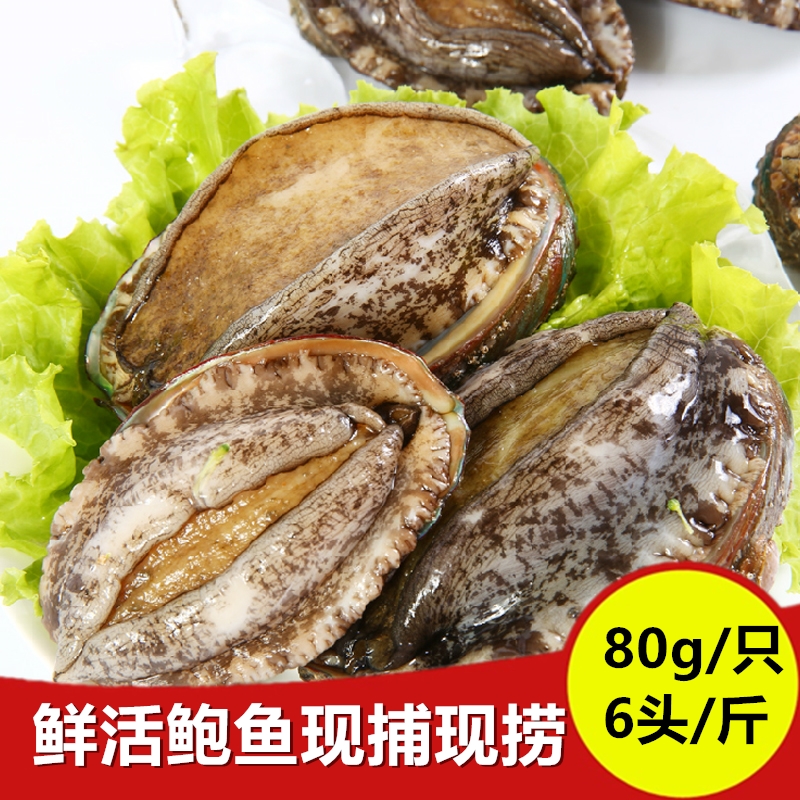 85g/只品鲜派大鲍鱼6头鲍水产新鲜小鲍鱼鲜活海鲜鲍鱼大连鲍鱼在类目 水产肉类/新鲜蔬果/熟食, 海鲜/水产品/制品, 贝类, 鲍鱼中 - 来自Buy2taobao.com提供专业的淘宝代购服务