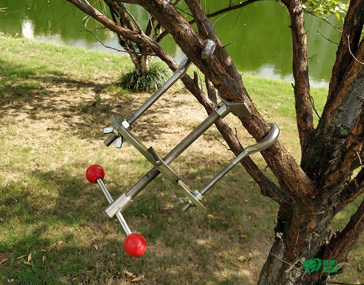 宪胜整枝器K3盆景造型工具拿弯器修调整树干不锈钢器缓慢调枝包邮|msdalam kategori penghantaran bunga/bunga simulasi/tumbuhan berkebun, Gardening Supplies, Peralatan Perkebunan lain - dari Buy2taobao.com untuk memberikan perkhidmatan ejen Taobao profesional membeli