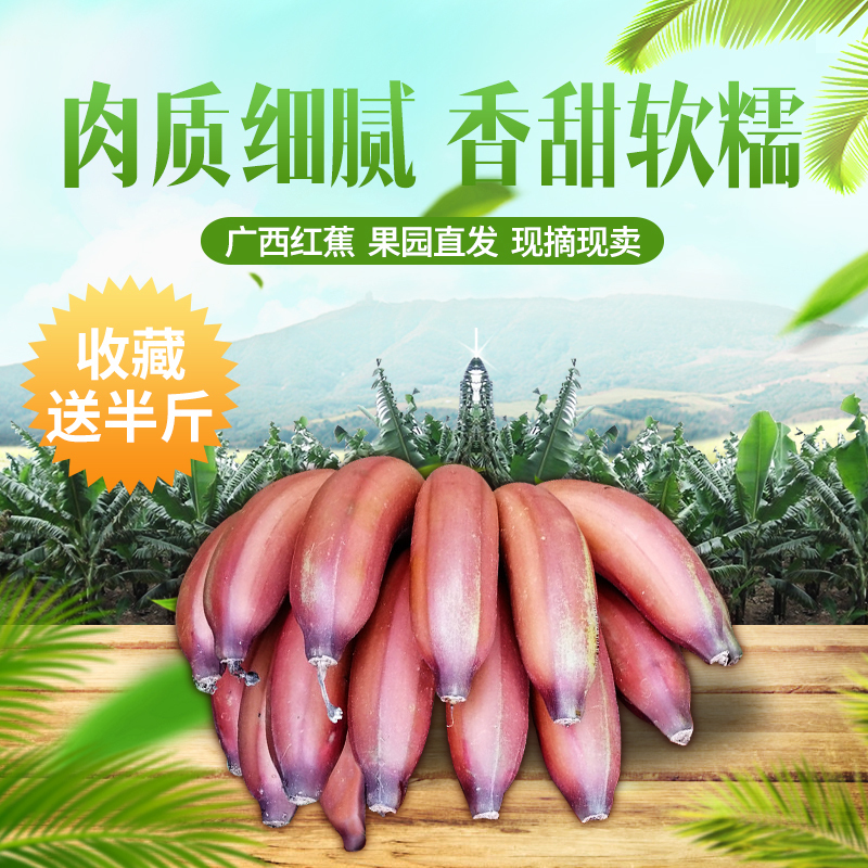 红香蕉新鲜水果5斤红贵妃斤红蕉美人蕉香甜红皮蕉现摘在类目 水产肉类/新鲜蔬果/熟食, 新鲜水果, 香蕉中 - 来自Buy2taobao.com提供专业的淘宝代购服务