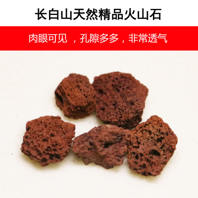 勋火山石 火山岩多肉土营养土铺面土多肉兰花配土颗粒鱼缸垫底包