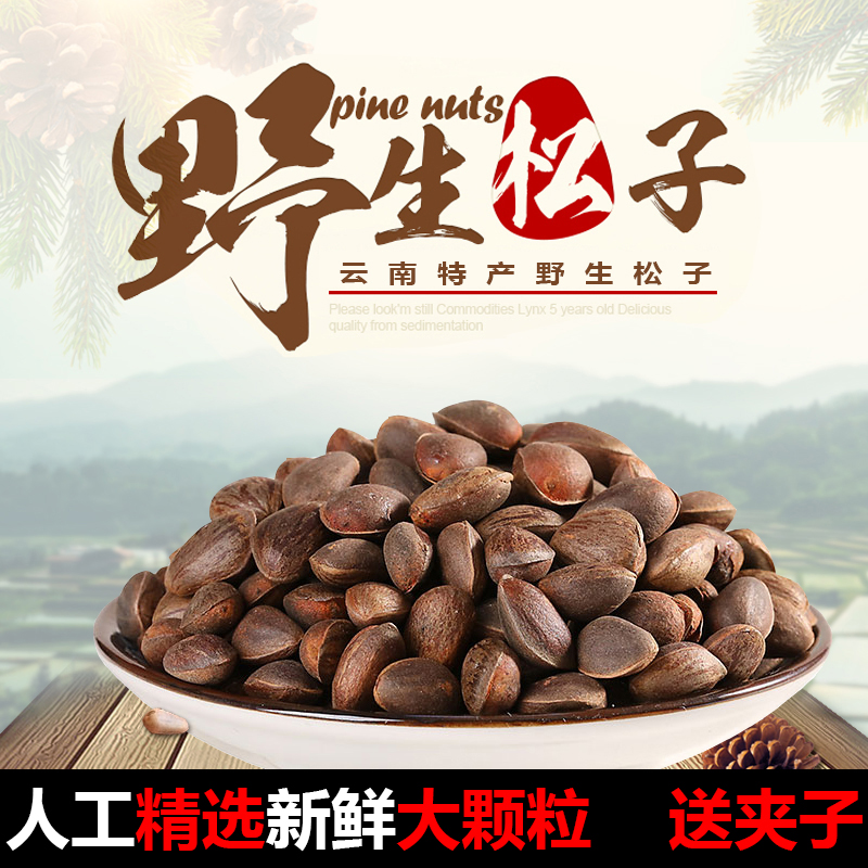 雲南松子新鮮松子落水松子濕松子生松子松子 散裝 1斤裝松籽包郵在類目 零食/堅果/特產, 山核桃/堅果/炒貨, 松子中 - 來自Buy2taobao.com提供專業的淘寶代購服務