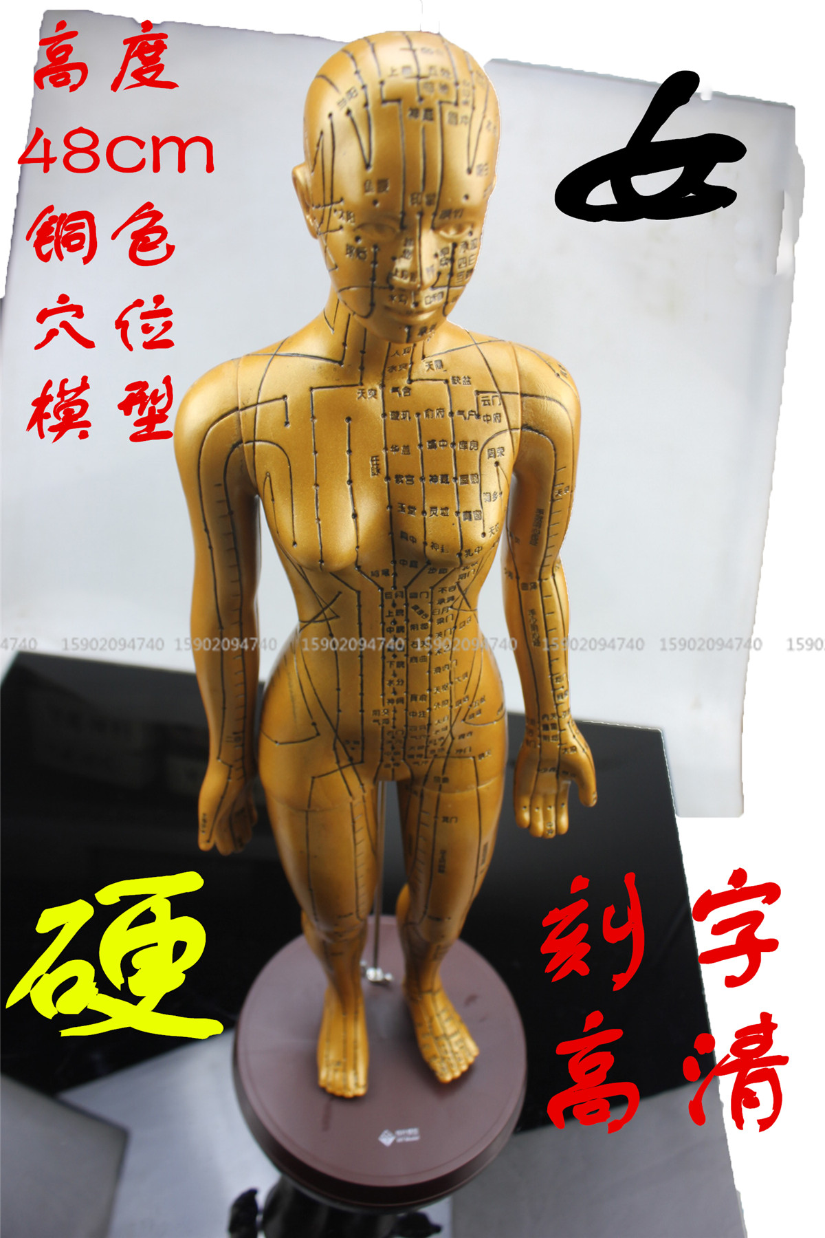 伟叶高清人体穴位模型刻字中医用教学铜人针灸模型图女性经络模型|ruв категории игрушка/коляска/головоломка/блоки/модель, статическая модель, другие модели игрушки - от Buy2taobao.com для оказания профессиональной услуги покупки агента Taobao