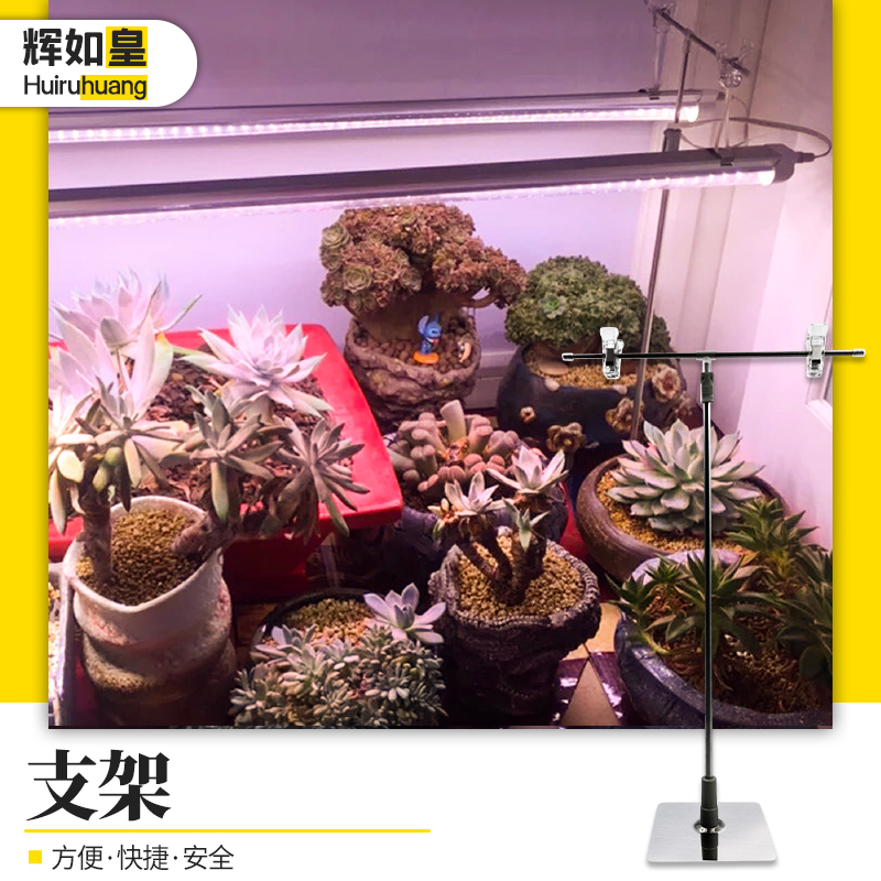 辉如皇多肉补光灯家用全光谱植物灯管灯盘专用可伸缩固定支架一对|ruв категории награду материалов, огни освещения, арматура светильника - от Buy2taobao.com для оказания профессиональной услуги покупки агента Taobao