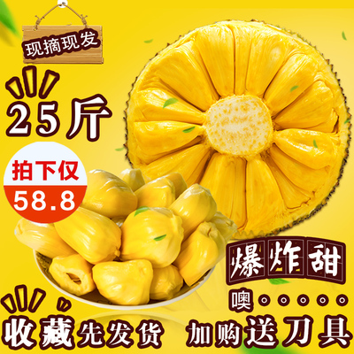 海南三亚菠萝蜜当季新鲜水果木菠萝蜜肉整箱假榴莲25斤一整个包邮