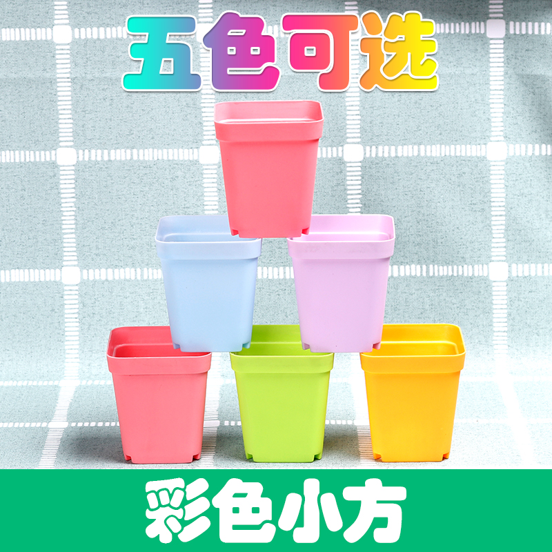 Succulent Flower pot Succulent plants colour Plastic Square pots Black Succulent Plastic pots Plants flowers Flower potin the Flower delivery/Flowers simulation/Plants gardening , Vase/Flower/Flowerpot/Flower (New) , Flowerpot category - from Buy2taobao.com to provide professional Taobao agent buy service