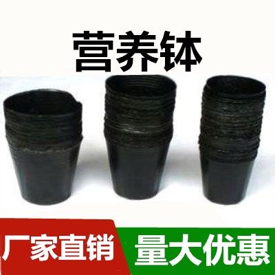 营养钵育苗袋营养袋果树苗专用育苗杯营养杯育苗器穴盘育苗盘花盆在类目 鲜花速递/花卉仿真/绿植园艺, 园艺用品, 育苗盘/营养钵中 - 来自Buy2taobao.com提供专业的淘宝代购服务