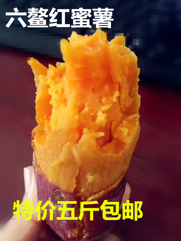 Fujian Six. fresh Sand sweet potato Sand Red Sweet potato Sweet potato Hong potato 5 poundsin the Aquatic meat/Fresh fruits and vegetables/Cooked , Fresh vegetables/Vegetable products , Fresh vegetables , Sweet potato category - from Buy2taobao.com to provide professional Taobao agent buy service