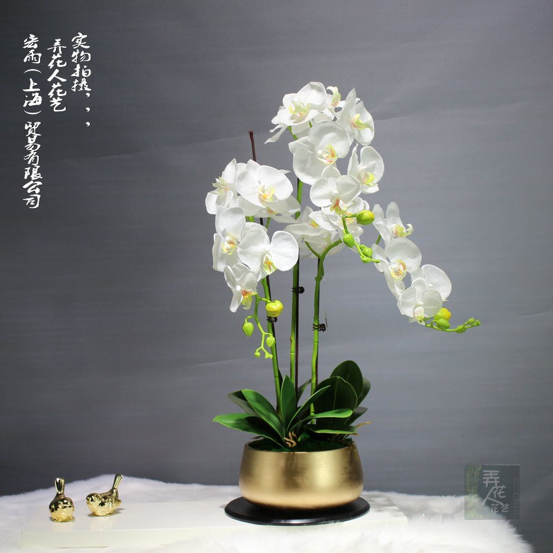 定制金色花器蝴蝶兰套装3支盆栽蝴蝶兰多颜色蝴蝶兰玄关卫生间等|ruв категории доставка цветов/цветок моделирования/растения садоводства, искусственные цветы/растения/фрукты и овощи готовой продукции (новая), искусственные цветы - от Buy2taobao.com для оказания профессиональной услуги покупки агента Taobao
