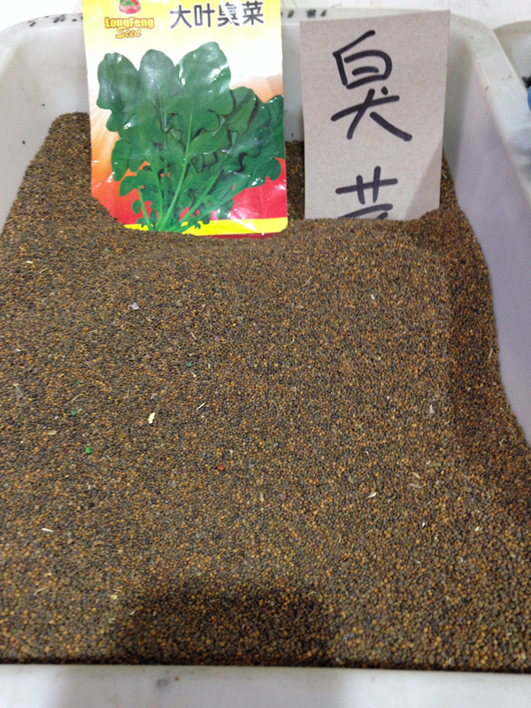 Jiamusi Lung Fung seed Cabbage seed Seed seed selected Big leaf Smelly dish seed Hot sauce 250 gramin the Flower delivery/Flowers simulation/Plants gardening , Flowers/Fruits and vegetables/Lawn seed (New) , Home & Garden Seeds category - from Buy2taobao.com to provide professional Taobao agent buy service