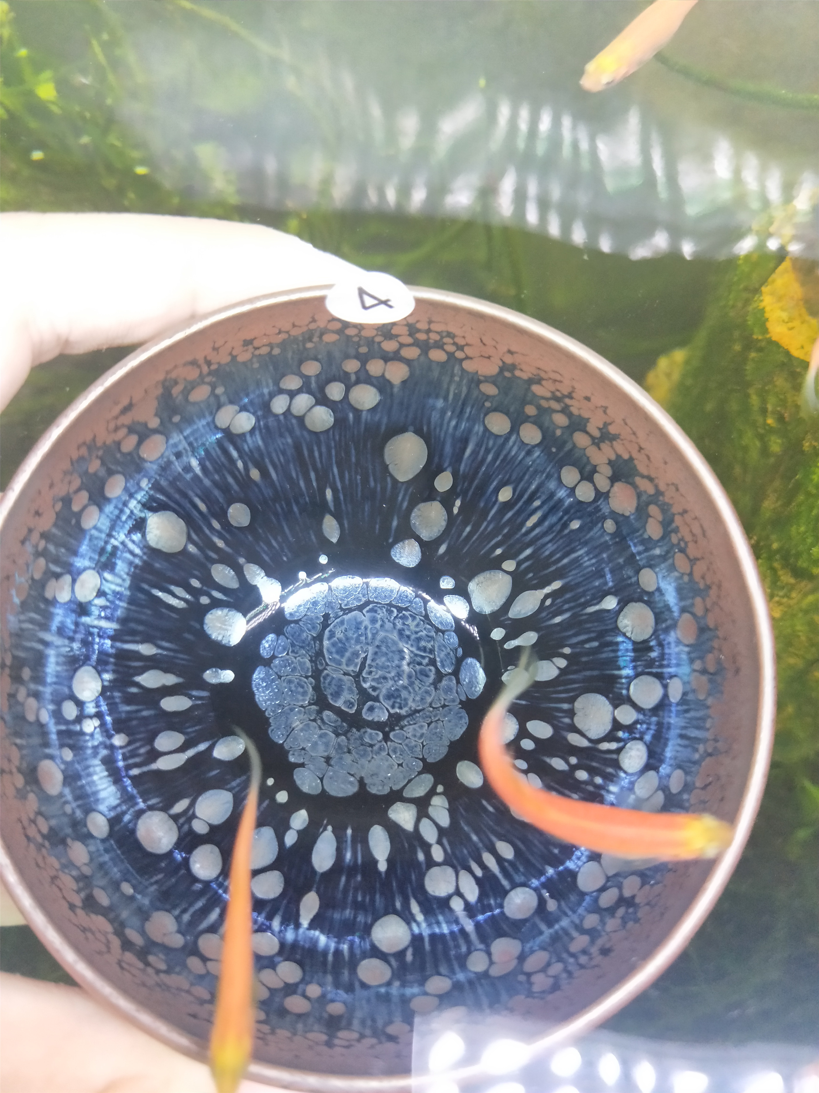 【建盏直播】建阳茶盏茶杯主人杯功夫茶品茗杯单杯铁兔毫茶具套装|msdalam kategori pinggan mangkuk, set teh, Cup - dari Buy2taobao.com untuk memberikan perkhidmatan ejen Taobao profesional membeli