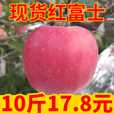 苹果水果新鲜红富士苹果当季应季红苹果水果陕西苹果整箱10斤包邮
