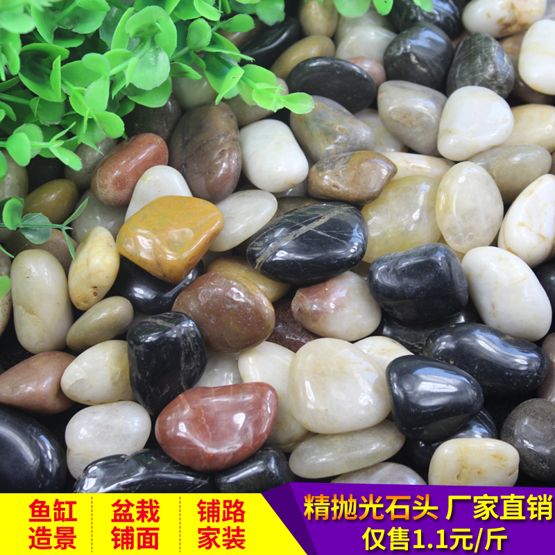 天然精抛光鹅卵石石头铺地南京雨花石原石庭院阳台鱼缸装饰鹅软石在类目 鲜花速递/花卉仿真/绿植园艺, 园艺用品, 其它园艺用品中 - 来自Buy2taobao.com提供专业的淘宝代购服务