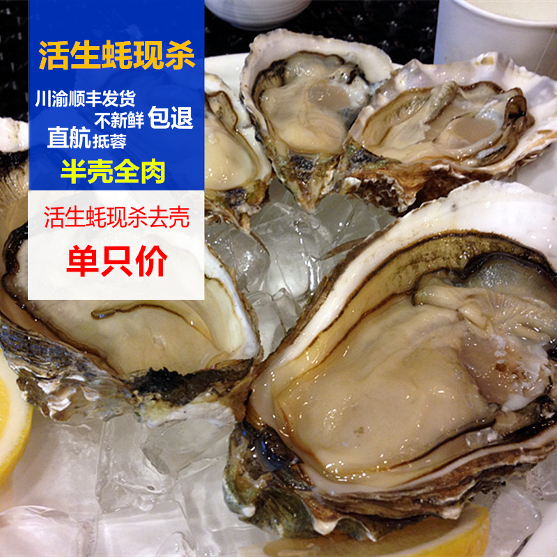 成都海鲜配送 沿海特产 低价促销 新鲜海鲜 去壳生蚝 当天空运在类目 水产肉类/新鲜蔬果/熟食, 海鲜/水产品/制品, 贝类, 贝类制品中 - 来自Buy2taobao.com提供专业的淘宝代购服务