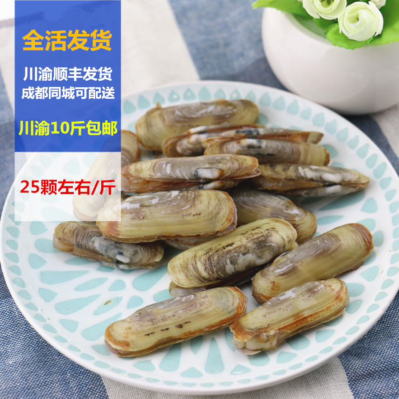 成都海鲜配送 特价促销辽宁省特产鲜活圣子蛏子指甲贝小贝壳新鲜在类目 水产肉类/新鲜蔬果/熟食, 海鲜/水产品/制品, 贝类, 贝类制品中 - 来自Buy2taobao.com提供专业的淘宝代购服务