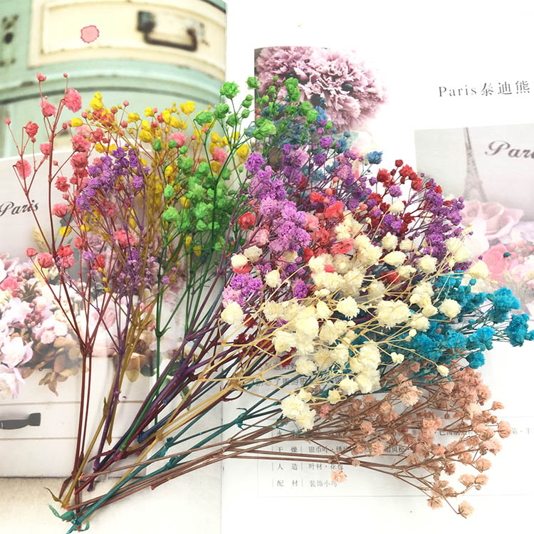 永生花 DIY配材1g渐变大头满天星百万星花束保鲜花圣诞节礼盒礼物在类目 鲜花速递/花卉仿真/绿植园艺, 永生花/干花, 永生花中 - 来自Buy2taobao.com提供专业的淘宝代购服务