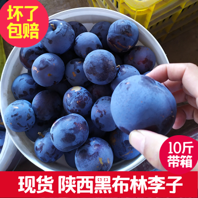 黑布林李子现摘时令新鲜水果10斤带箱整箱包邮孕妇酸水果脱骨李子