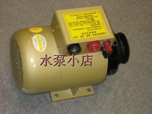 永磁無刷發電焊機220v照明12v電瓶充電電動工具電源多功能發電機在類目 五金/工具, 機電五金, 發電機, 其他發電機中 - 來自Buy2taobao.com提供專業的淘寶代購服務
