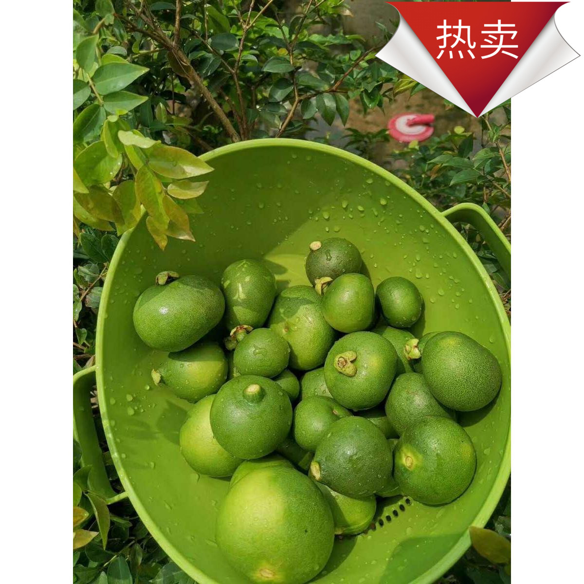车房家具除甲醛去异味神器夏天驱蚊平和小柚子5斤26爱车除味在类目 水产肉类/新鲜蔬果/熟食, 新鲜水果, 柠檬中 - 来自Buy2taobao.com提供专业的淘宝代购服务