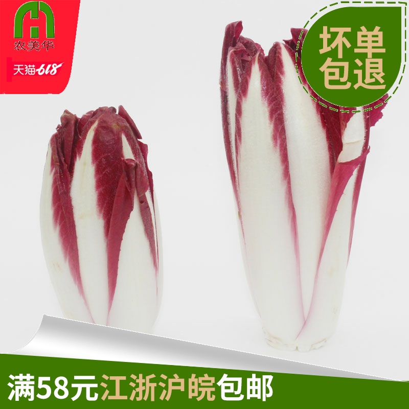 【农美啊华】新鲜红金玉兰红色玉兰菜菊苣菜沙拉菜西餐生菜 500g|ruв категории водной мясо/свежие фрукты и овощи/еда, свежие овощи/овощной продукции, свежие овощи, другие - от Buy2taobao.com для оказания профессиональной услуги покупки агента Taobao