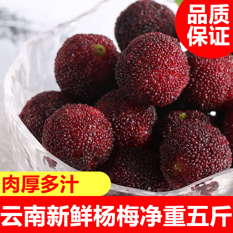 雲南楊梅淨重5斤 新鮮直達整箱包郵現摘現發新鮮水果孕婦楊梅批發在類目 水產肉類/新鮮蔬果/熟食, 新鮮水果, 其它中 - 來自Buy2taobao.com提供專業的淘寶代購服務