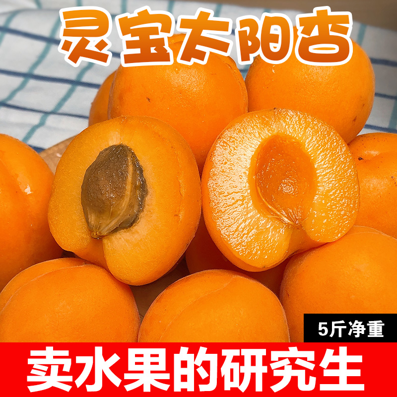 【现摘现发】灵宝太阳杏5斤净重 应季包邮孕妇杏子水果农家整箱批在类目 水产肉类/新鲜蔬果/熟食, 新鲜水果, 其它中 - 来自Buy2taobao.com提供专业的淘宝代购服务
