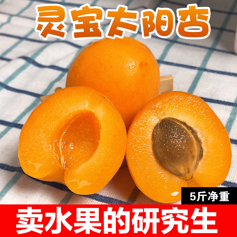 【现摘现发】灵宝太阳杏5斤净重 特产水果新鲜直批整箱包邮大黄杏在类目 水产肉类/新鲜蔬果/熟食, 新鲜水果, 其它中 - 来自Buy2taobao.com提供专业的淘宝代购服务