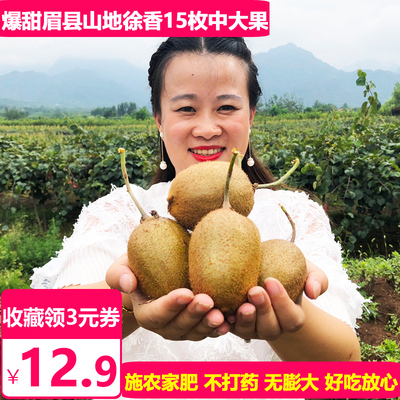 天使芳菲 眉县徐香猕猴桃新鲜包邮泥弥狝狔胡猴桃陕西绿心奇异果