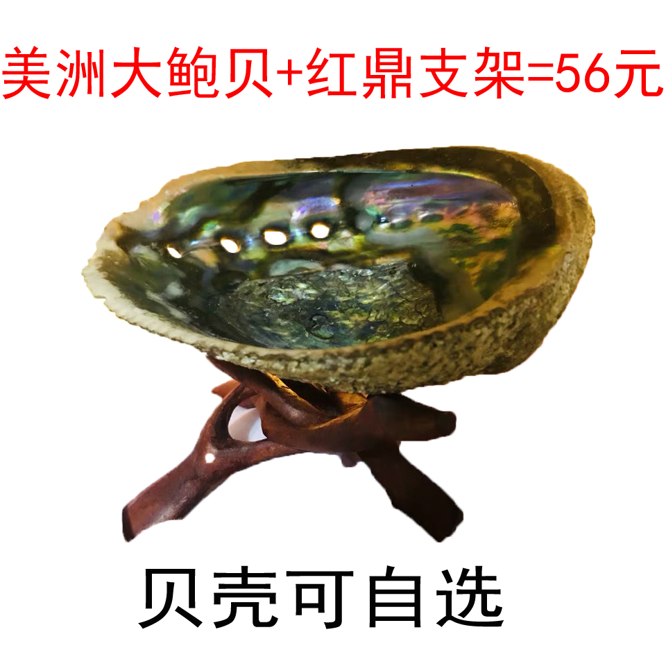 【惊喜特价】美洲大鲍贝 印度红鼎圣木 组合套装 烟熏鼠尾草器具|ruв категории Домашний быт, творческие украшения, густой/раковина/кораллы - от Buy2taobao.com для оказания профессиональной услуги покупки агента Taobao