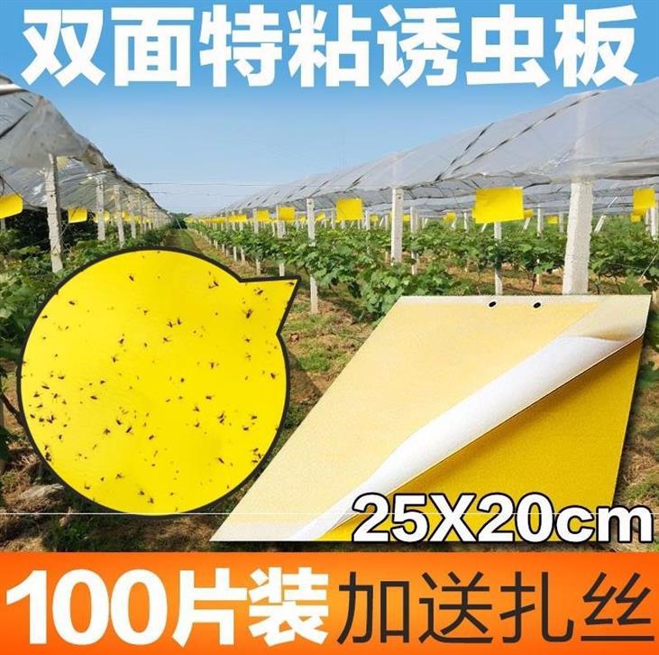 Fluke Tit for tat yellow rectangle plastic cement Bug Pest control Fruit tree Armyworm board Yellow plate greenhouse Sticky boardin the Flower delivery/Flowers simulation/Plants gardening , Gardening supplies , Other Garden Supplies category - from Buy2taobao.com to provide professional Taobao agent buy service
