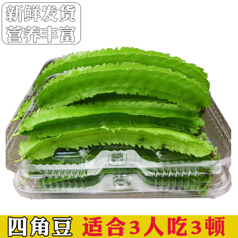 2斤装三亚新鲜四角豆海南蔬菜保亭毛感四棱豆龙豆鲜嫩龙角豆在类目 水产肉类/新鲜蔬果/熟食, 新鲜蔬菜/蔬菜制品, 新鲜蔬菜, 其它中 - 来自Buy2taobao.com提供专业的淘宝代购服务