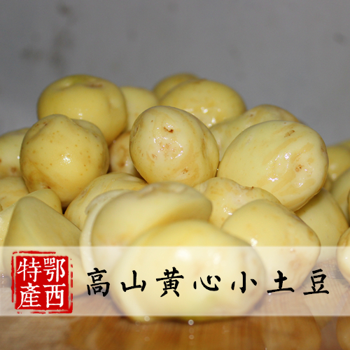 富硒农家黄心小土豆 新鲜蔬菜有机马铃薯 洋芋果做椒盐小土豆5斤在类目 水产肉类/新鲜蔬果/熟食, 新鲜蔬菜/蔬菜制品, 新鲜蔬菜, 土豆中 - 来自Buy2taobao.com提供专业的淘宝代购服务