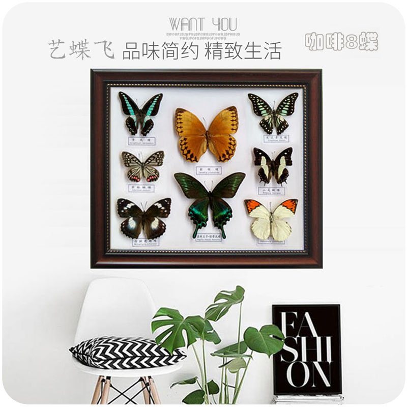 Popularity Butterfly specimens Frame insect three-dimensional Photo frame technology decorate Pendant teaching Teaching aids A birthday presentin the Home accessories , Frame/Frames category - from Buy2taobao.com to provide professional Taobao agent buy service