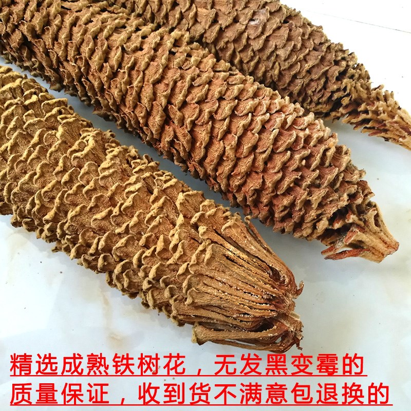 Cycads Dried flowers wild new goods Nobita 500g Farm Cycads dried foodin the Traditional nourishing food , Other traditional tonic , Other traditional tonic category - from Buy2taobao.com to provide professional Taobao agent buy service