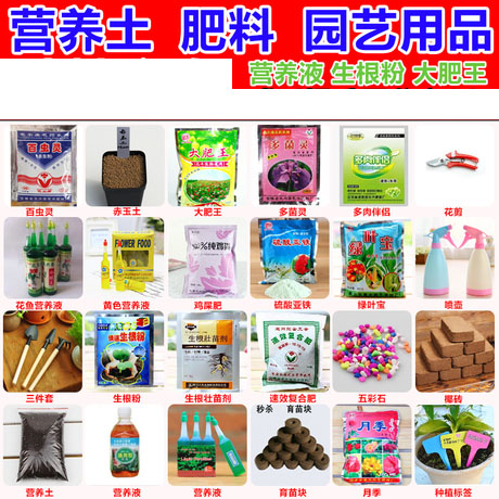 营养土大肥王营养液椰砖育苗块陶粒赤玉土喷水壶肥料各种园艺用品|msdalam kategori penghantaran bunga/bunga simulasi/tumbuhan berkebun, Gardening Supplies, baja rumah berkebun/tanah pemakanan/penyelesaian nutrien - dari Buy2taobao.com untuk memberikan perkhidmatan ejen Taobao profesional membeli
