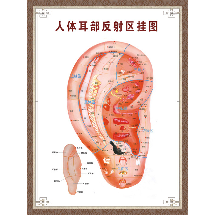 Ear Foot Hand Head Reflex zones Healthy therapy Poster massage Foot bath human body acupoint acupuncture moxibustionin the Personalized custom/Design Services/DIY , Daily/Decorative custom , Photo/Poster printing category - from Buy2taobao.com to provide professional Taobao agent buy service