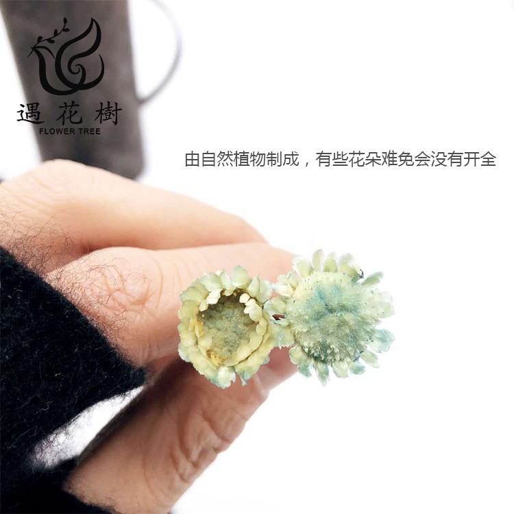 日本进口大地农园小扁菊新娘头饰手捧花永生花玻璃罩配材在类目 鲜花速递/花卉仿真/绿植园艺, 婚礼鲜花布置, 其它中 - 来自Buy2taobao.com提供专业的淘宝代购服务