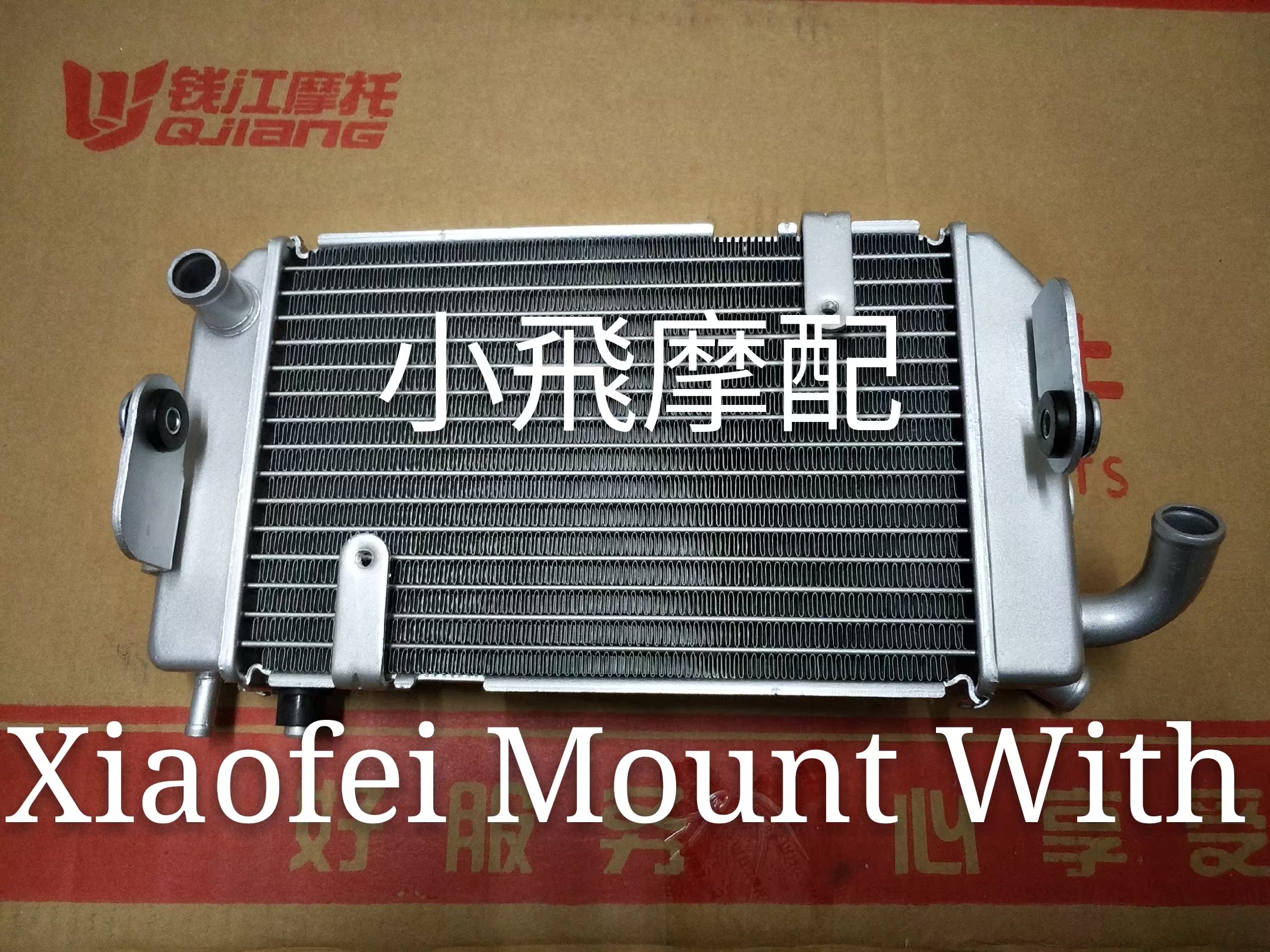 貝納利新品銀刃BJ250T-8散熱器水箱冷卻風扇組件總成在類目 摩托車/裝備/配件, 其他摩托車用品中 - 來自Buy2taobao.com提供專業的淘寶代購服務