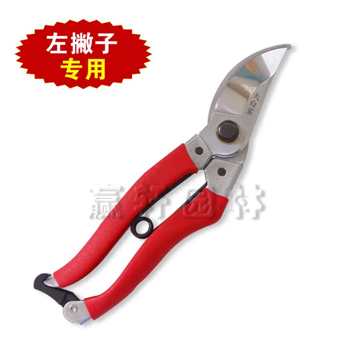 左手剪左撇子修枝剪园艺果树枝剪刀剪子粗枝剪果修枝剪园艺园林剪在类目 鲜花速递/花卉仿真/绿植园艺, 园艺用品, 园艺/刀/剪/锯(新), 剪刀中 - 来自Buy2taobao.com提供专业的淘宝代购服务