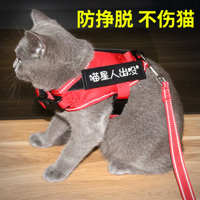 猫咪牵引绳溜猫绳猫咪背心式防挣脱猫链子猫背带项圈猫咪用品|msdalam kategori haiwan peliharaan/makanan haiwan dan bekalan, Cat/anjing harian, rantai rumah - dari Buy2taobao.com untuk memberikan perkhidmatan ejen Taobao profesional membeli
