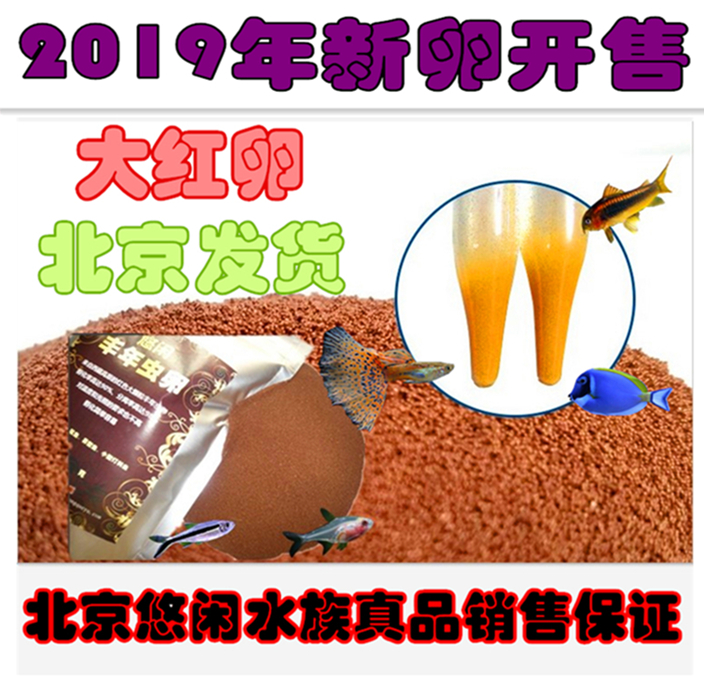 2019年新豐年蝦卵正式開售!真正西藏鹽湖紅豐年蝦卵在類目 寵物/寵物食品及用品, 水族世界, 觀賞魚飼料中 - 來自Buy2taobao.com提供專業的淘寶代購服務