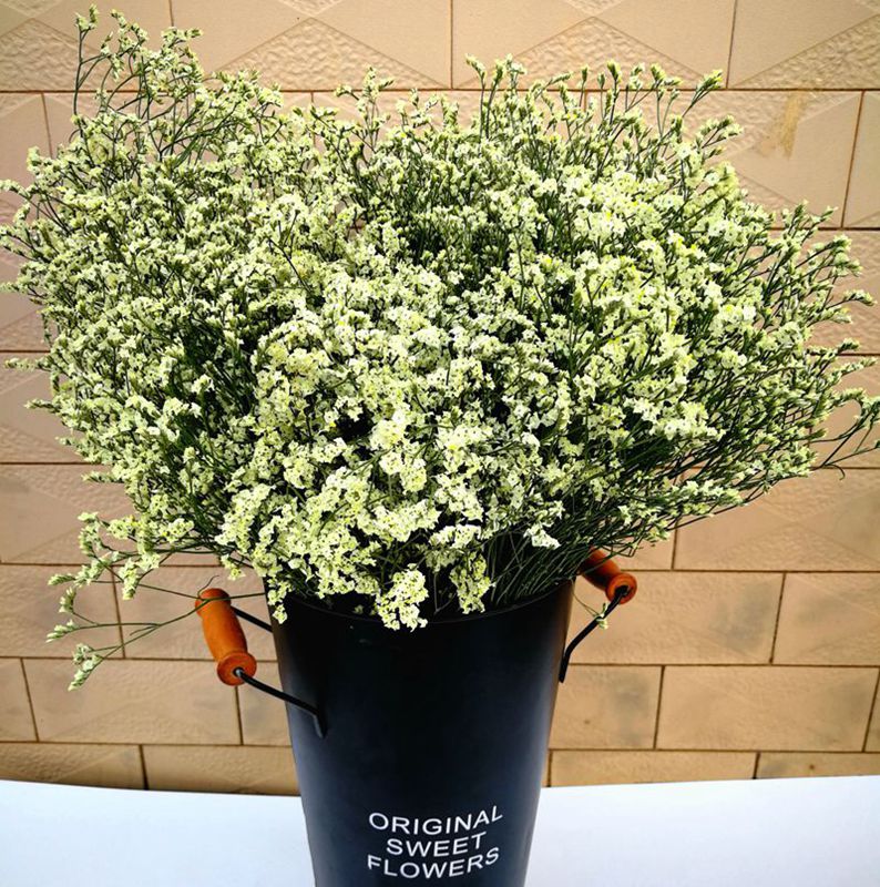 水晶之戀幹花網紅花束家居小清新客廳插花擺設diy手工材料裝飾品在類目 家居飾品, 花瓶/花器/仿真花/仿真飾品, 乾花/花瓣/乾花包/幹樹枝中 - 來自Buy2taobao.com提供專業的淘寶代購服務