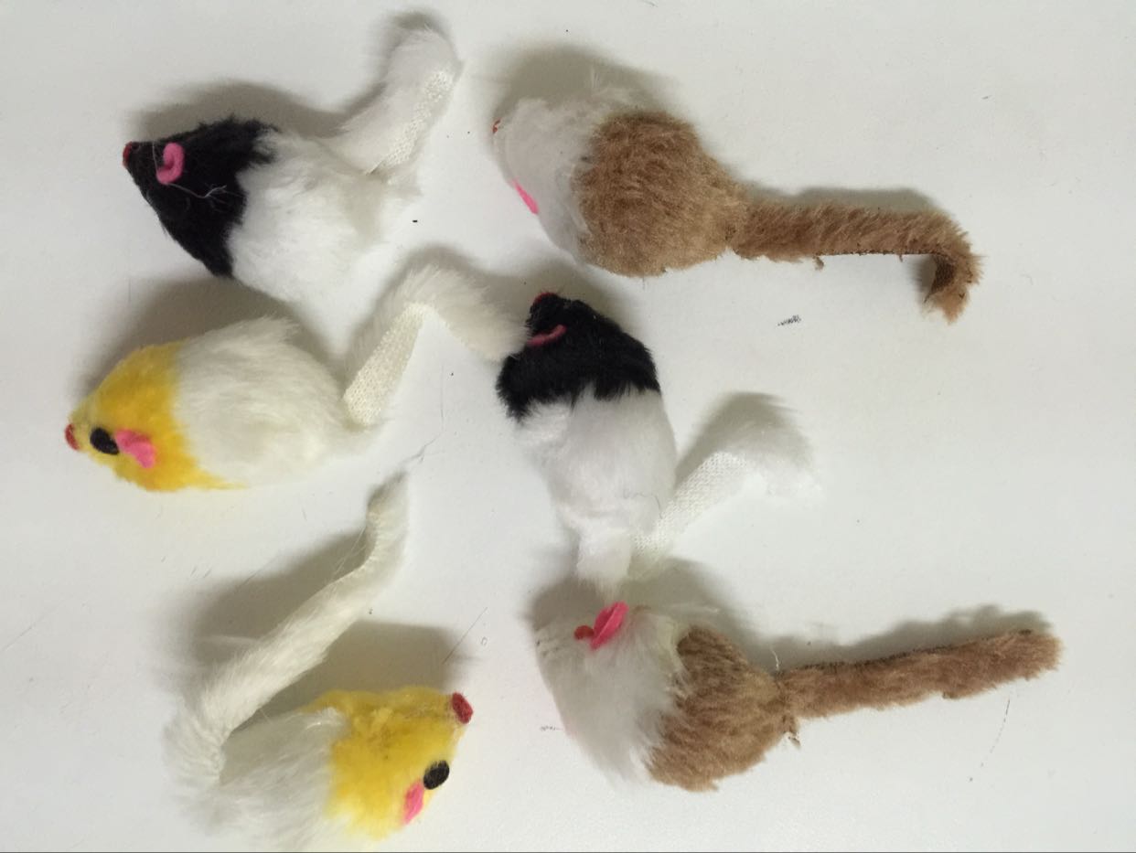 Toys Mouse -Kitty Favorites Rabbit's hair Little Mouse Rustle Sound Toysin the Pet/Pet food and supplies , Cat/Dog Toys , Sound toys category - from Buy2taobao.com to provide professional Taobao agent buy service