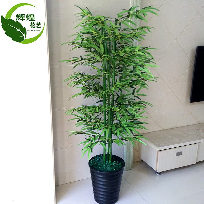 simulation Bamboo Bamboo Dracaena sanderiana Fake trees a living room decorate hotel Green to ground Potted plant Plasticin the Flower delivery/Flowers simulation/Plants gardening , Artificial flowers/Plants/Finished fruits and vegetables (New) , Simulation plants category - from Buy2taobao.com to provide professional Taobao agent buy service