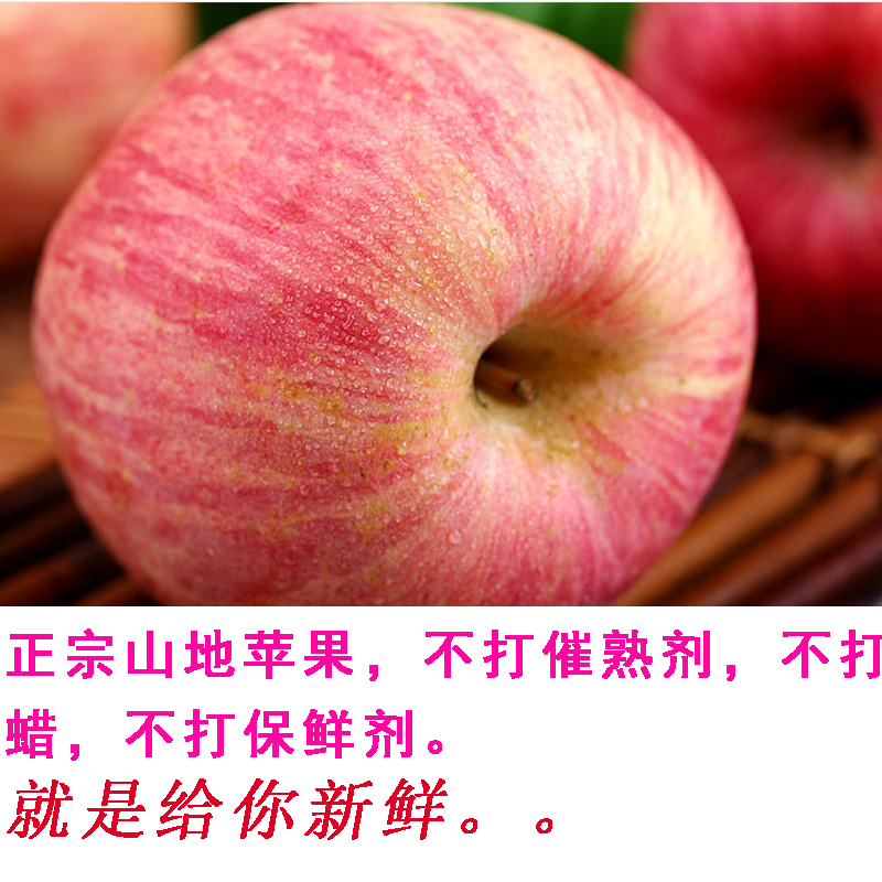 2018 Shandong Roughness fresh Apple Red Fuji Preservatives Luochuan Yantai 75# 5 poundsin the Aquatic meat/Fresh fruits and vegetables/Cooked , Fresh fruit , Apple category - from Buy2taobao.com to provide professional Taobao agent buy service