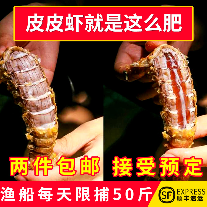 皮皮虾 鲜活 虾爬子 琵琶虾濑尿虾新鲜虾姑爬爬虾海鲜水产2份包邮在类目 水产肉类/新鲜蔬果/熟食, 海鲜/水产品/制品, 虾类, 活虾中 - 来自Buy2taobao.com提供专业的淘宝代购服务