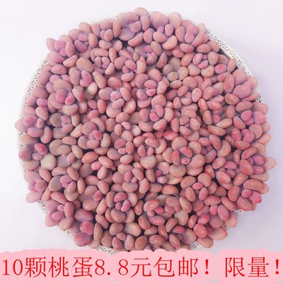 桃蛋 桃之卵 多肉婴儿手指 多肉植物 8.8元10颗桃蛋