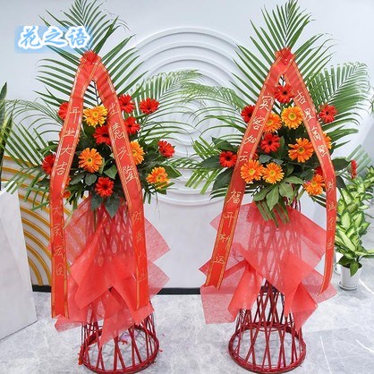 适配Q开业花篮发财树网红气球花篮金秀县宁明县龙州县凭祥市同城|msdalam kategori Aksesori Digital 3C, pasaran komponen elektronik, Komponen komputer/Parts, aksesori persisian - dari Buy2taobao.com untuk memberikan perkhidmatan ejen Taobao profesional membeli