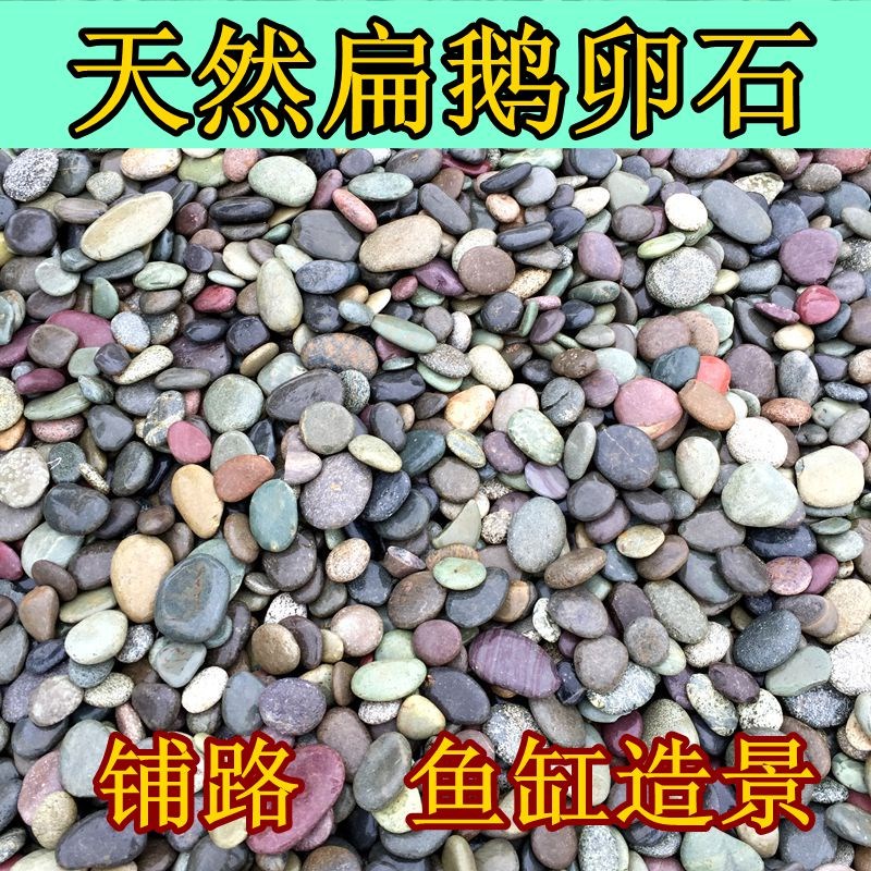 gardening Pebble stone Paving Pebble natural fish tank stone Stone Shi Pu 9in the Flower delivery/Flowers simulation/Plants gardening , Gardening supplies , Other Garden Supplies category - from Buy2taobao.com to provide professional Taobao agent buy service