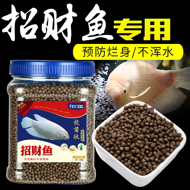 招財魚專用飼料水族箱觀賞魚糧長絲鲈戰船魚抗菌肽肉食顆粒型魚食在類目 寵物/寵物食品及用品, 水族世界, 觀賞魚飼料中 - 來自Buy2taobao.com提供專業的淘寶代購服務