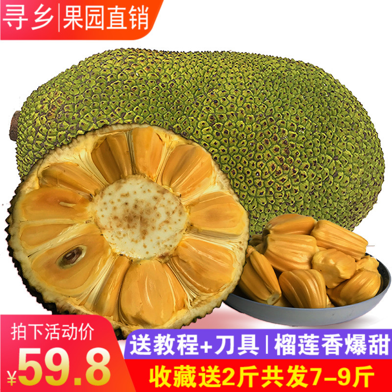 越南红肉菠萝蜜净重7-9斤当季进口新鲜进口水果红心波罗密包邮在类目 水产肉类/新鲜蔬果/熟食, 新鲜水果, 其它中 - 来自Buy2taobao.com提供专业的淘宝代购服务